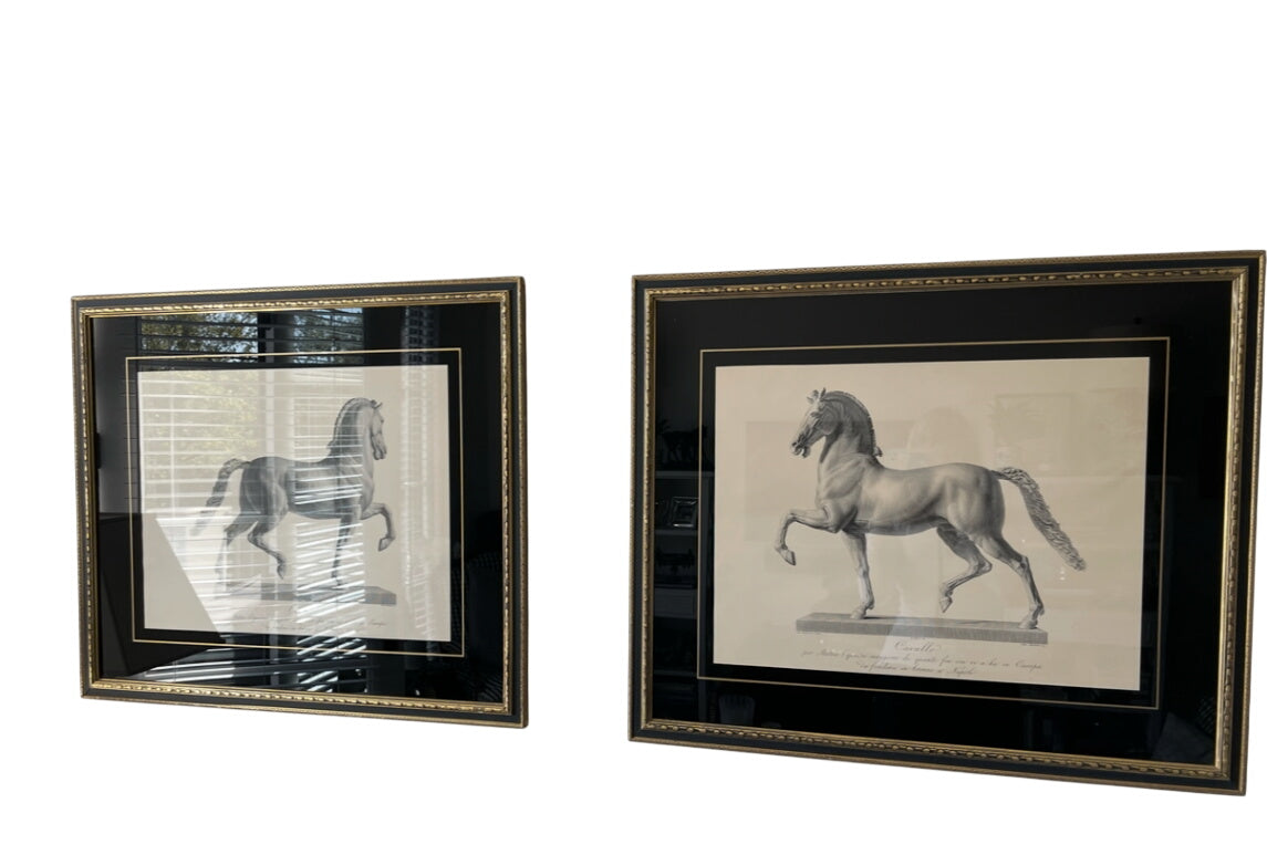 Framed Antonio Canova "Cavallo" Horse Engravings – Classical Equestrian Wall Art (32x27)