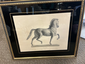 Framed Antonio Canova "Cavallo" Horse Engravings – Classical Equestrian Wall Art (32x27)