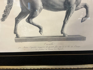 Framed Antonio Canova "Cavallo" Horse Engravings – Classical Equestrian Wall Art (32x27)