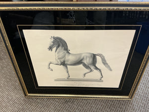 Framed Antonio Canova "Cavallo" Horse Engravings – Classical Equestrian Wall Art (32x27)