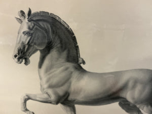 Framed Antonio Canova "Cavallo" Horse Engravings – Classical Equestrian Wall Art (32x27)