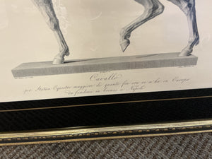 Framed Antonio Canova "Cavallo" Horse Engravings – Classical Equestrian Wall Art (32x27)