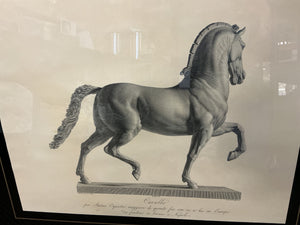 Framed Antonio Canova "Cavallo" Horse Engravings – Classical Equestrian Wall Art (32x27)