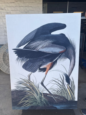 Canvas print Great Blue Heron from John James Audubon's The Birds of America 54 x 39 in