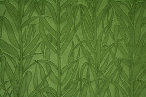 Amazonia Velvet - Moss
