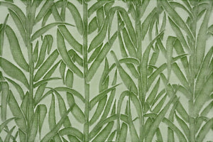 Amazonia Velvet - Moss