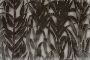 Amazonia Velvet - Coco