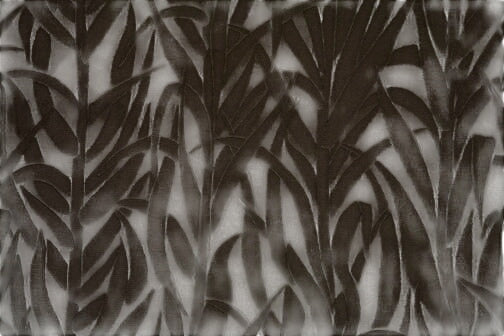 Amazonia Velvet - Coco