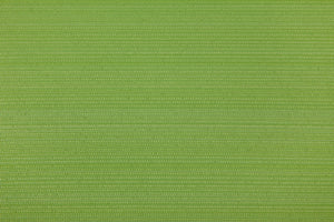 Lateral - Kiwi