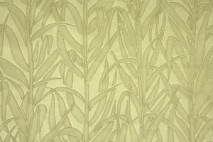 Amazonia Velvet - Sage