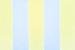 Jamaican Stripe - Plantain
