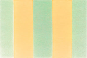 Jamaican Stripe - Orange Julep