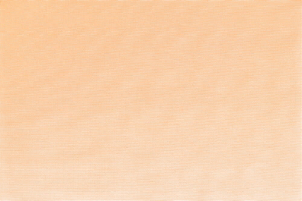 di Medici - Zucca