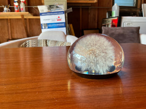 Dandelion Glass Paperweight