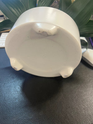 Faux Triple Agave In White Ceramic Planter With Pebbles