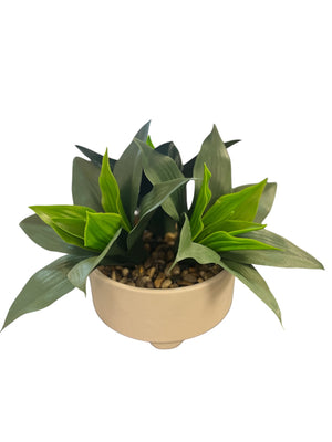 Faux Triple Agave In White Ceramic Planter With Pebbles