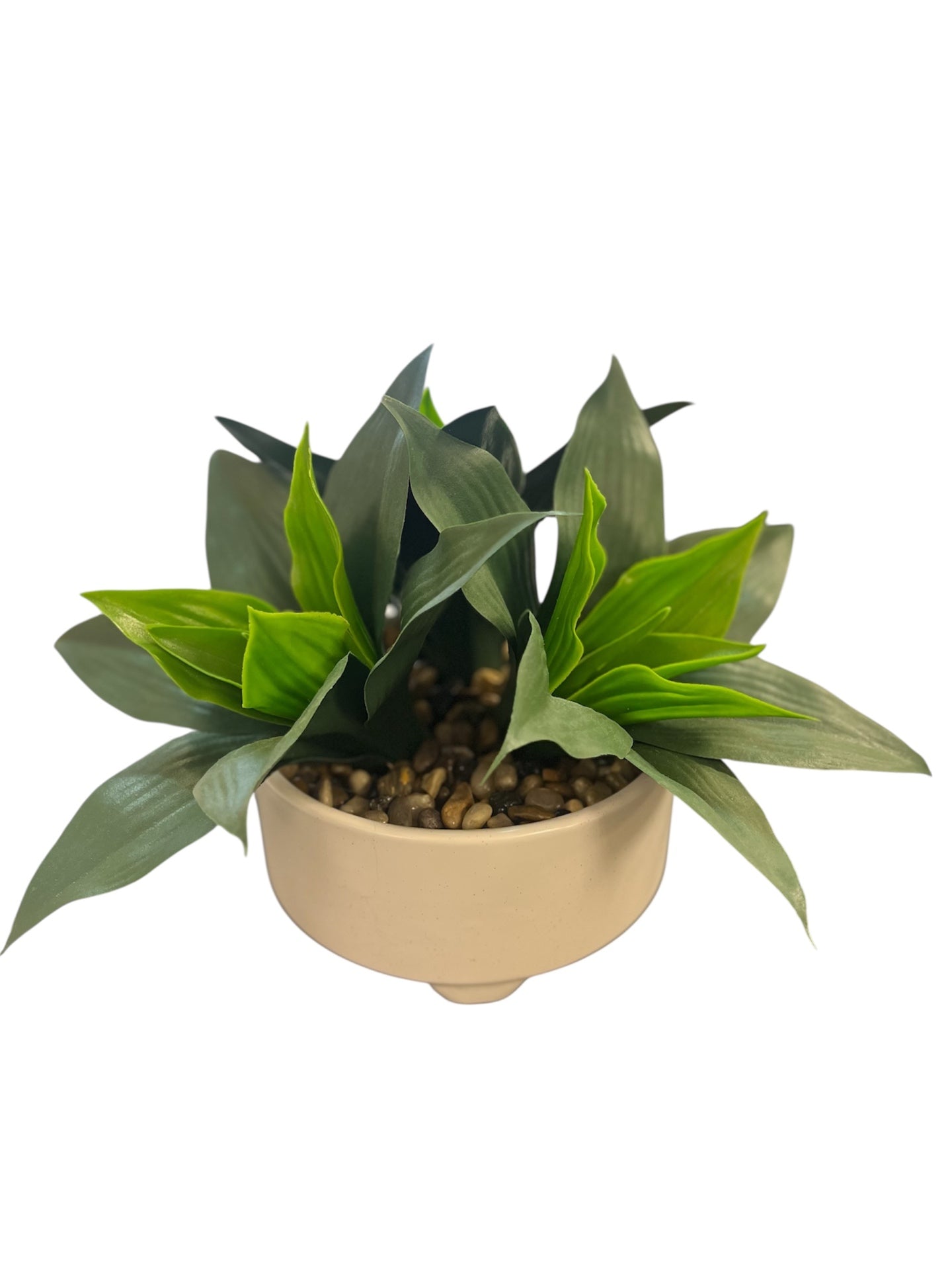 Faux Triple Agave In White Ceramic Planter With Pebbles