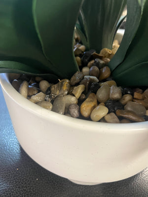 Faux Triple Agave In White Ceramic Planter With Pebbles