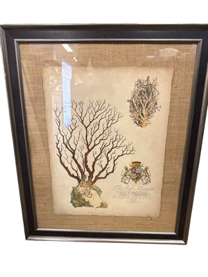 Imperial Coral 111 framed wall art with burlap mat behind glass, 28" x 34"