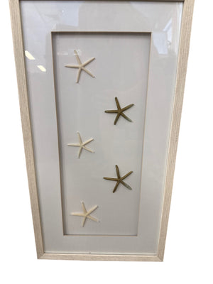 Framed Shadowbox Starfish Wall Decor (Sold by Each) 14" x 28"