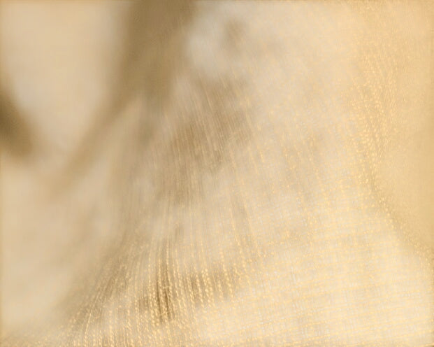 Curtains Tan L118" x W104" PAIR