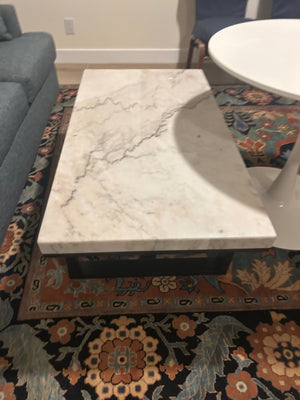 Lucca Marble Top Coffee Table 48" x 26" x 18"
