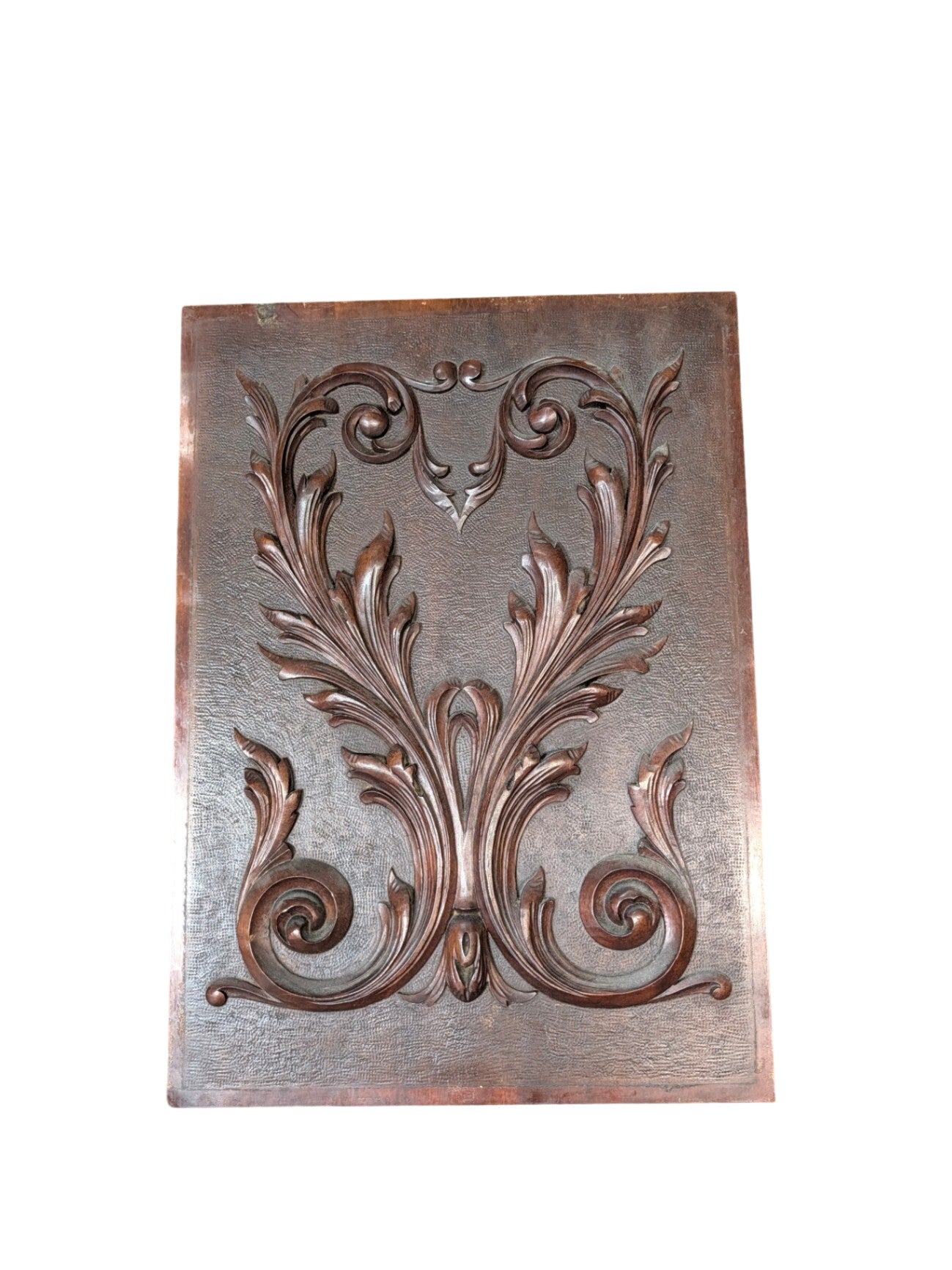 French Walnut Carved Relief Panel 19th Century (Foliate Scroll) 15" x 21"