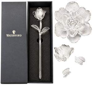 Waterford Crystal Fleurology Rose Flower #154653, 15”, with Original Box