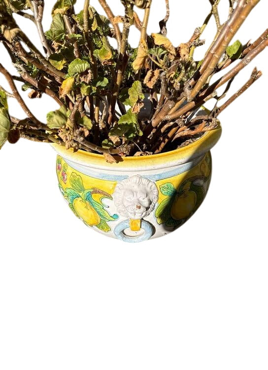 Italian Majolica Ceramic Planter with Lion and Ring Details