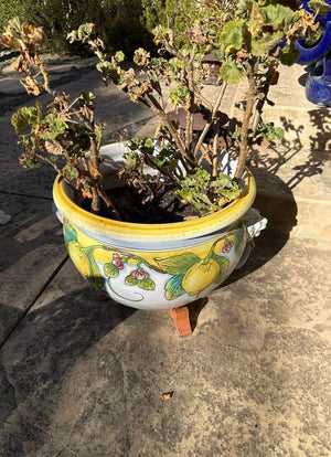 Italian Ceramic Planter with Lemon Motif and Lion Accents