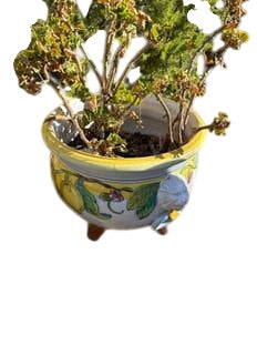 Italian Ceramic Planter with Lemon Motif and Lion Accents