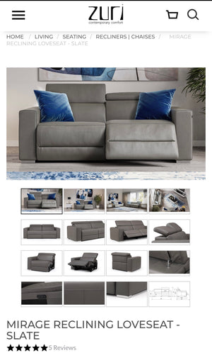 ZURI Reclining Loveseat