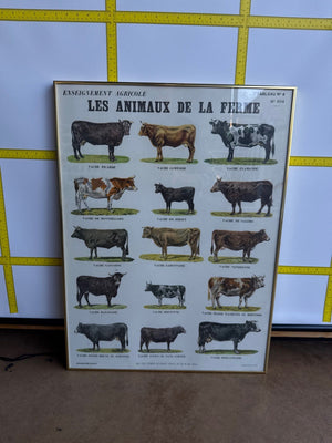 Framed French Print Poster