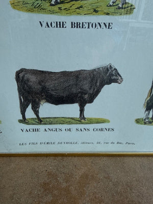 Framed French Print Poster