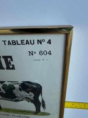 Framed French Print Poster