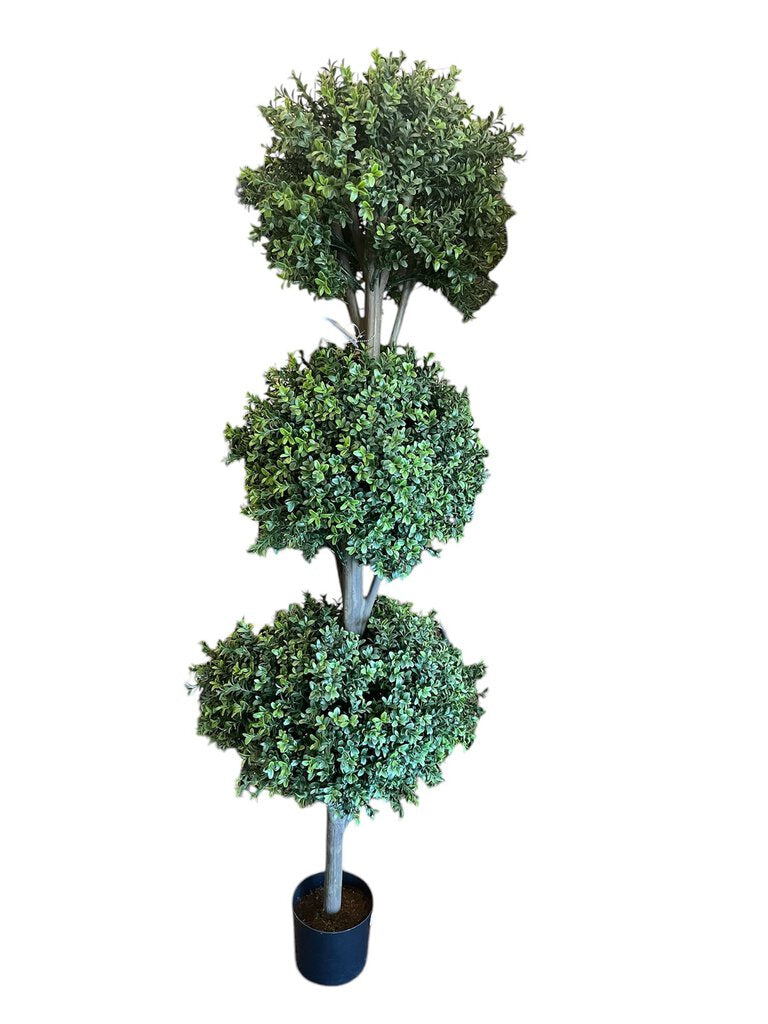 Boxwood Topiary 3 Ball3 Ball 60 (37)