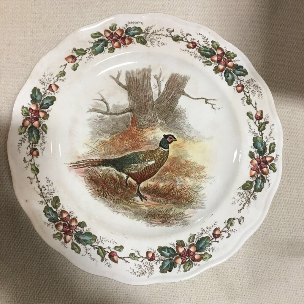 Cauldon England Pheasant & Acorn Decorative Plate (9Pcs)