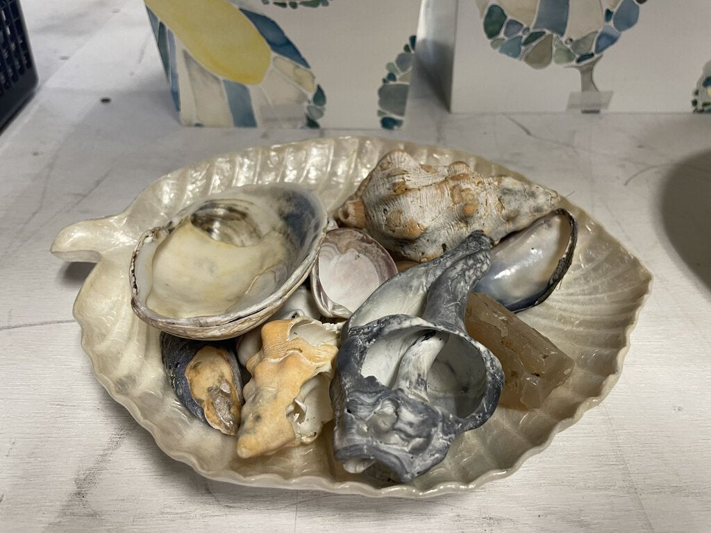 Shell Dish with Collection of Shells