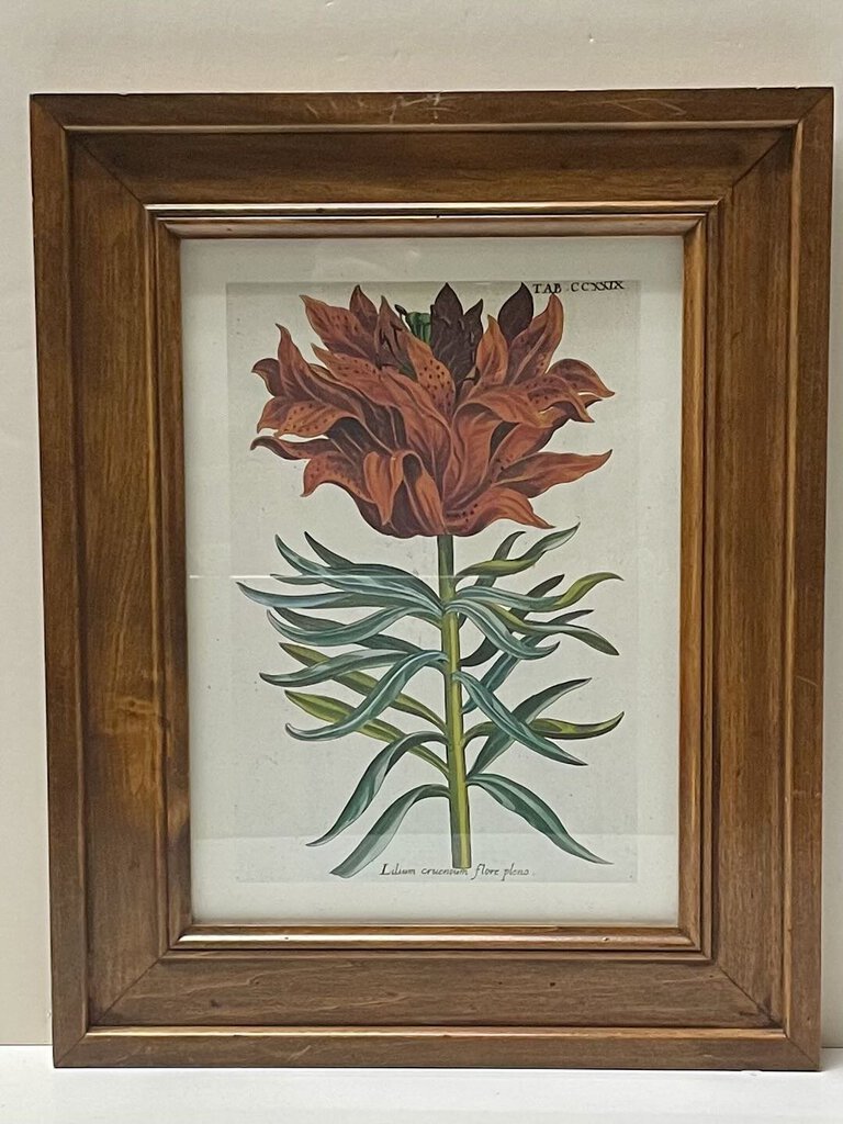 Vintage Framed Botanical Floral Print Reproduction