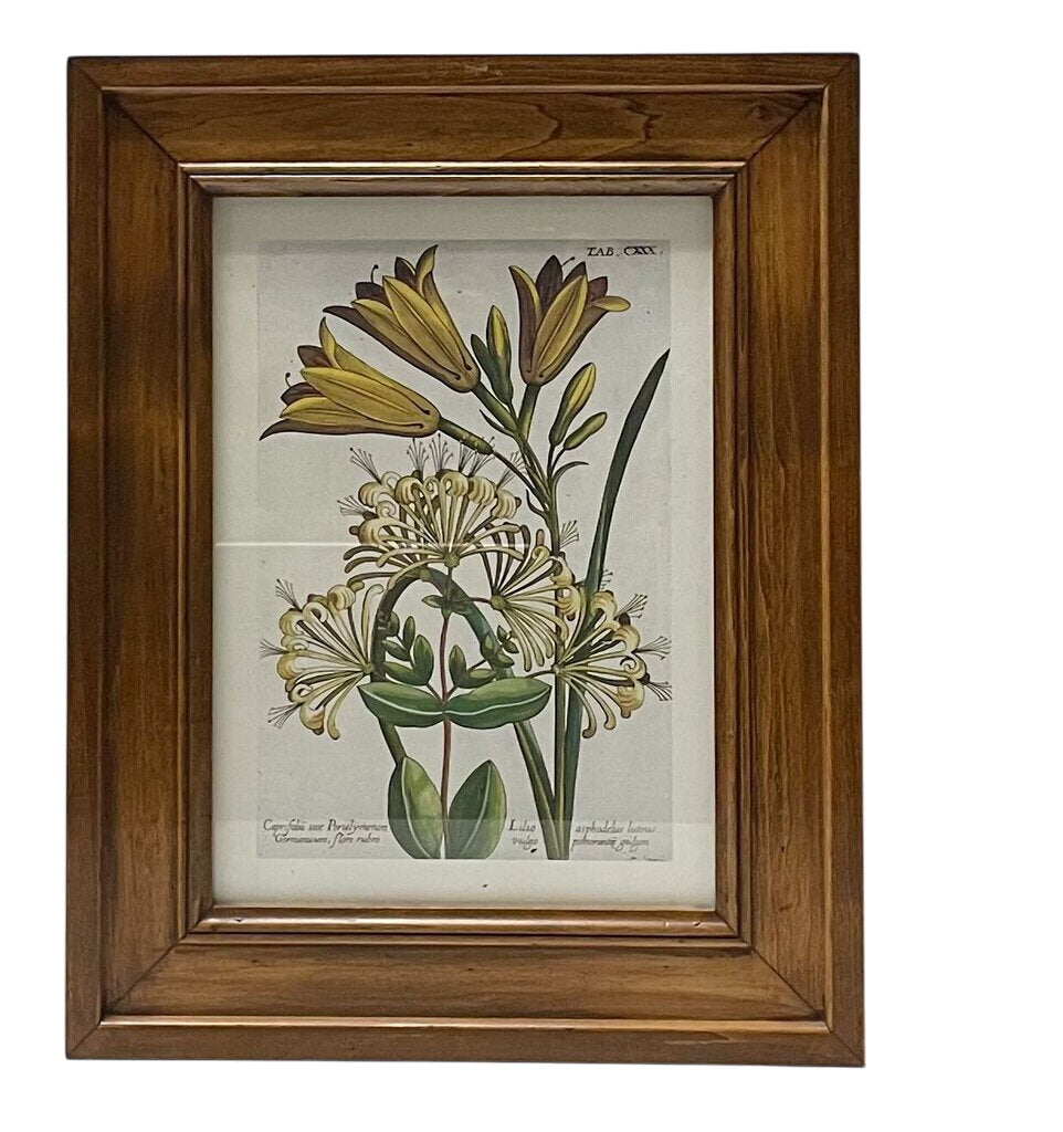 Vintage Framed Botanical Floral Print Reproduction by Miss Daisy's Consignment & Auction House