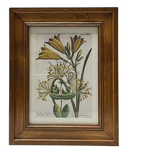 Vintage Framed Botanical Floral Print Reproduction by Miss Daisy's Consignment & Auction House