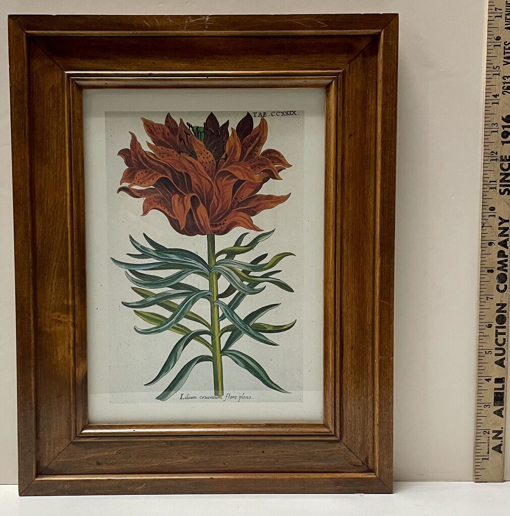 Vintage Framed Botanical Floral Print Reproduction