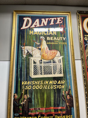 Dante the Famous Magician & Beauty the Arabian Steed