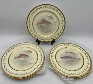 Royal Doulton S. Wilson Gilded Hand Painted Fish Plates (8Pcs)