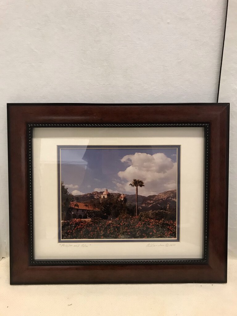 Local Artist RJ Carnahan "Mission and Palm" Photo