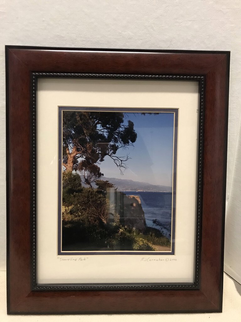 Local Artist RJ Carnahan "Shoreline Park" Photo