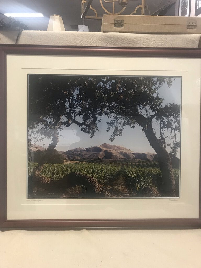 Philip Gerlach "Los Olivos Vineyard" 26/250 Photo Print 42x36