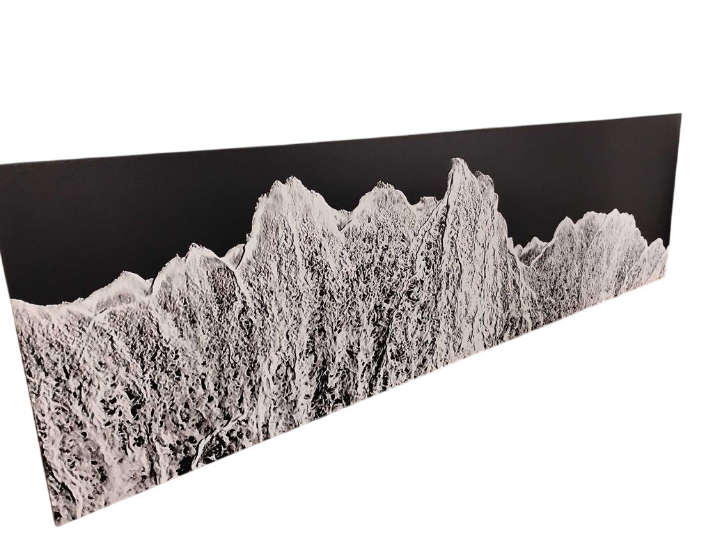 Black Sand Beach Stretched Canvas Art Large 113x32 by Miss Daisy's Consignment & Auction House