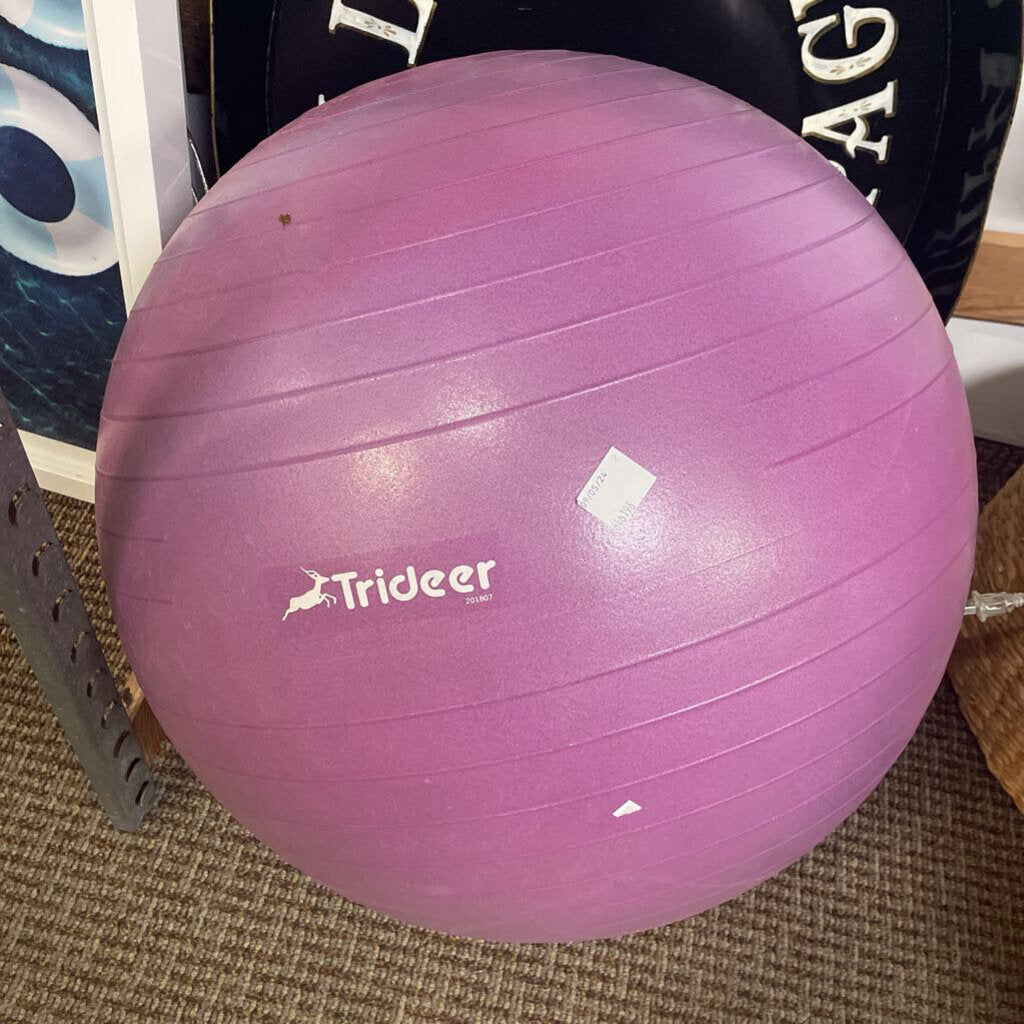 Trideer Pink Yoga Exercise Ball