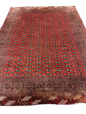 Hand Knotted Red Persian Rug, with light brown/beige accents. by Miss Daisy's Consignment & Auction House